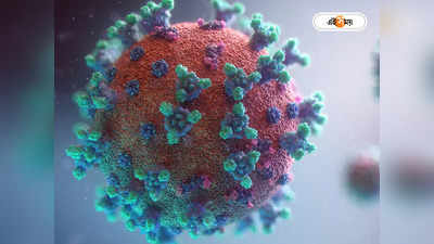 Covid 19 Virus : আবার চিনা ভাইরাস-ভয়, পাগলামি বলছেন বিশেষজ্ঞরা