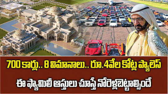 worlds richest family owns 700 cars rs 4000 crore palace 8 jets