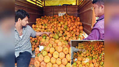 नागपूरच्या संत्र्यांची छत्रपती संभाजीनगरकरांना भुरळ; बाजारपेठेत ५० रुपये किलोने धडाक्यात विक्री