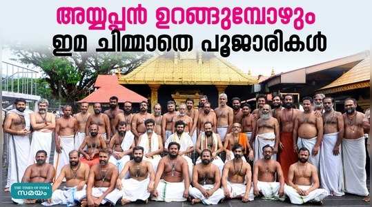 people who perform ayyappa seva day and night know about the priests of sabarimala