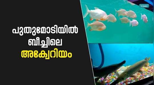 tunnel aquarium at kozhikode beach opened after renovation