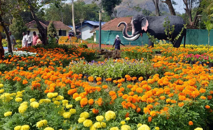 Malampuzha Flower Show 2024