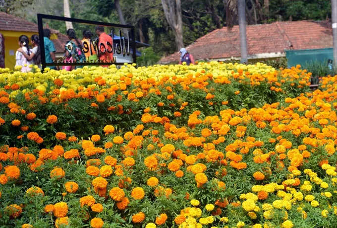 Malampuzha Flower Show 2024