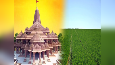 Ayodhya Ram Mandir: শীঘ্রই খুলবে রাম মন্দিরের দরজা, অযোধ্যায় এক কাঠা জমির দাম কত জানেন?