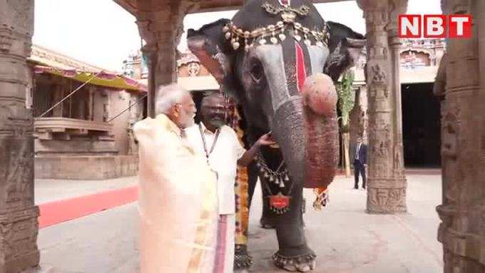 तमिलनाडु के रंगनाथ मंदिर में हाथी ने बजाया माउथ ऑर्गन तो पीएम मोदी भी हुए फैन, आप भी देखें वीडियो