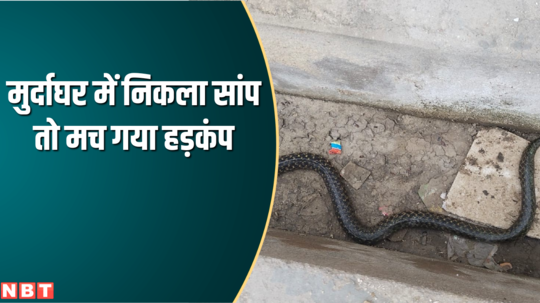 stir when a snake came out in the mortuary in bharatpur