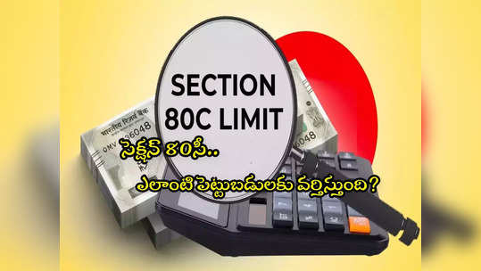 Income Tax: సెక్షన్ 80సీతో పన్ను ఆదా.. ఏయే పెట్టుబడులకు వర్తిస్తుందంటే? 