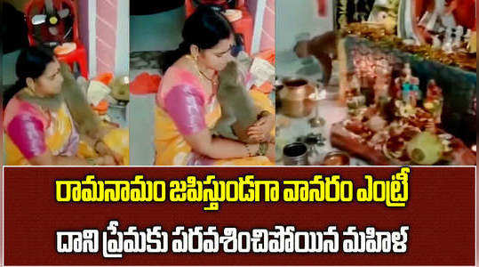 monkey arrives home and hug devotee while performing rama kalyanam in vizianagaram