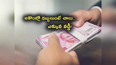 Savings Account: అకౌంట్లో డబ్బులుంటే చాలు.. ఎక్కువ లాభం.. సేవింగ్స్ అకౌంట్ వడ్డీ రేట్లు పెంచిన బ్యాంక్ 