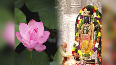 পদ্ম ফুলে শ্রী রামের পুজো দিলেন প্রধানমন্ত্রী, মাত্র 25 হাজারে চাষ করে আপনিও পেতে পারেন 1 লাখ টাকা
