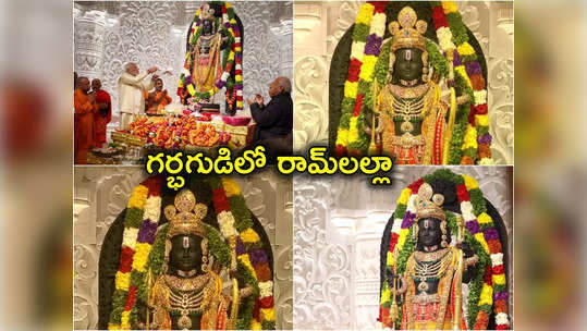 Ram Lalla Photos: అయోధ్యలో కొలువుదీరిన తర్వాత బాల రాముడి ఫోటోలు చూశారా.. సుందర రూపం చూడతరమా! 