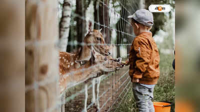 Darjeeling Zoo : দার্জিলিং চিড়িয়াখানায় হবে DNA ল্য়াব