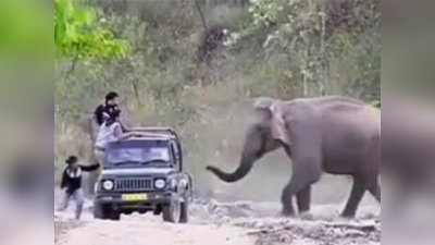 Elephant Prank: जंगल सफारी के दौरान हाथी ने लोगों के साथ किया ऐसा प्रैंक, एक महिला तो डर के मारे जीप से ही कूद गई