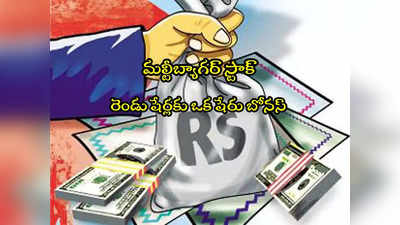 Bonus Shares: బంపర్ రిటర్న్స్.. లక్షకు రూ.37 లక్షలు.. ఇప్పుడు 2 షేర్లకు 1 షేరు ఫ్రీగా ఇస్తోంది! 