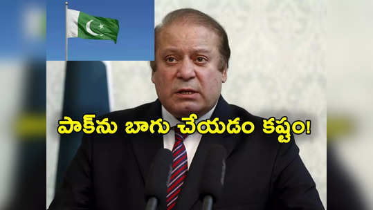 Pakistan Elections: పాక్‌ను బాగు చేయడం అంత సులభం కాదు.. మాజీ ప్రధాని సంచలన వ్యాఖ్యలు 