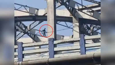 जान देने के इरादे से चढ़ा था ब्रिज पर, पुलिस ने ऐसा लालच दिया कि बंदा खुद ही नीचे आ गया, वीडियो वायरल