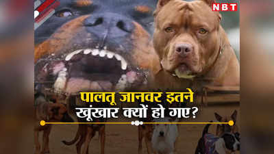 दिल्ली में आखिर इतने खूंखार क्यों हो रहे हैं हमारे पालतू कुत्ते? विशेषज्ञों ने मालिकों को भी बताया जिम्मेदार