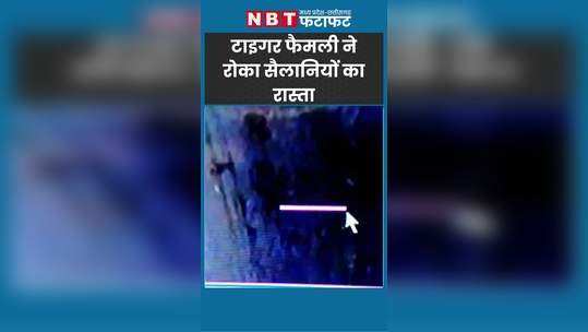 leopard roaming in posh area of indore creating panic among residents watch video