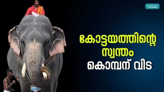 bharath vinod elephant died at kottayam