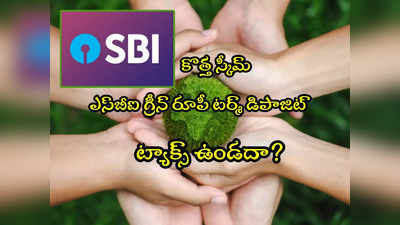 SBI కొత్త స్కీమ్.. గ్రీన్ రూపీ డిపాజిట్‌ చేస్తే ట్యాక్స్ ఉండదా? రూల్స్ ఏం చెబుతున్నాయ్? 