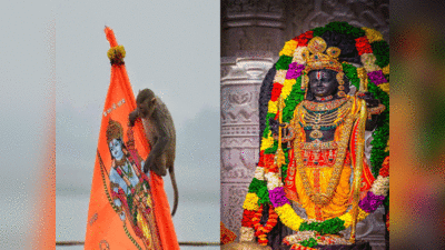 जय सिया राम! जब रामलला के दर्शन करने पहुंचा बंदर, लोग बोले- साक्षात आए हनुमान