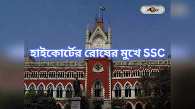 Calcutta High Court: আরটিআই-জবাবে ত্রুটি, কোর্টের তোপ কমিশনকে