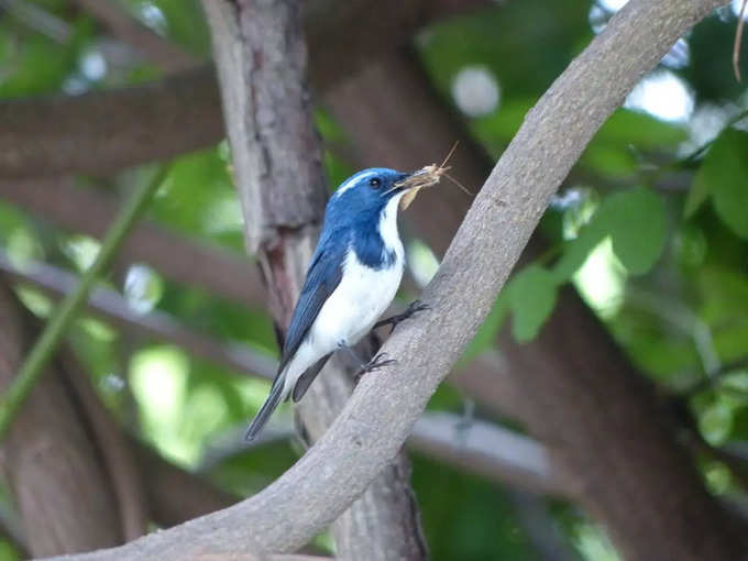 ಸಾಹಸ ಚಟುವಟಿಕೆಗಳನ್ನು ಆನಂದಿಸಿ