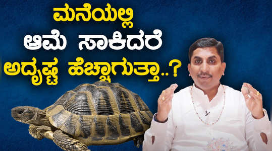 what vastu says about keeping turtles at home
