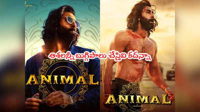 Animal: OTTలోకి వచ్చేసిన యానిమల్ సినిమా.. కానీ ఆ విషయంలో ఫ్యాన్స్ హర్ట్!