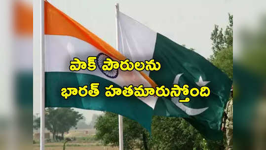 Pakistan: మా పౌరులను చంపింది భారత ఏజెంట్లే.. సంచలన ఆరోపణలు చేసిన పాక్ 