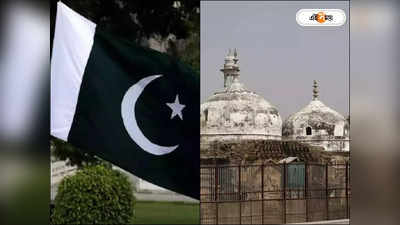 Pakistan On Gyanvapi Mosque : বাবরি মসজিদে থামল না, এবার জ্ঞানবাপীও..., রাষ্ট্রসংঘে চিঠি উদ্বিগ্ন পাকিস্তানের