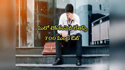 Tech Layoffs 2024: మరో ఐటీ కంపెనీ కఠిన నిర్ణయం.. 700 మంది ఉద్యోగులు ఔట్! 