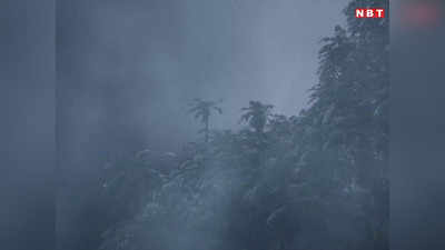MP Weather Update: मध्य प्रदेश में ठंड का टॉर्चर जारी, पश्चिमी विक्षोभ से बढ़ेगी ठिठुरन, IMD ने अलर्ट किया जारी