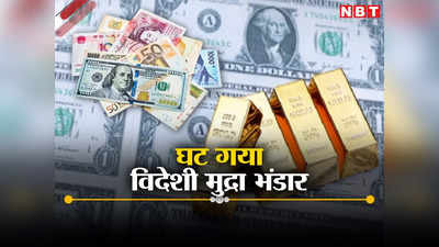 Foreign Exchange Reserve: फिर घट गया अपना विदेशी मुद्रा भंडार, कंगाल पाकिस्तान का क्यों बढ़ गया जानते हैं?