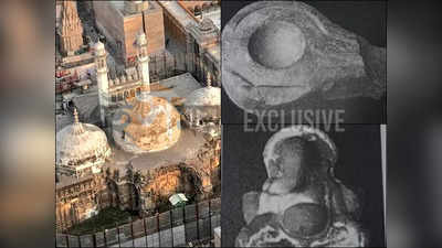 Gyanvapi Masjid : শিবলিঙ্গ থেকে গণেশ মূর্তি! কী কী পাওয়া গেল জ্ঞানবাপী মসজিদের নীচে? দেখুন এক্সক্লুসিভ ছবি