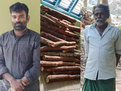 Sandalwood Smuggling Arrest: കുടുംബസമേതം ചന്ദനക്കടത്ത്; വിറകിനടിയിൽ ഒളിപ്പിച്ചത് 300 കിലോയോളം, അച്ഛനും മകനും പിടിയിൽ