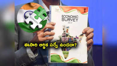 Economic Survey: ఆర్థిక సర్వే అంటే ఏంటి? ఈసారి బడ్జెట్‌కు ముందు ఆర్థిక సర్వే ఉండదా?