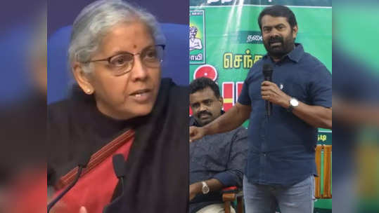 எலெக்‌ஷன்லயே நிக்கல.. நிர்மலா சீதாராமனுக்கு எதுக்கு அமைச்சர் பதவி? - விளாசித் தள்ளிய சீமான்