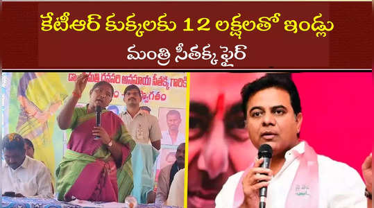 minister seethakka comments on ktr in mulugu