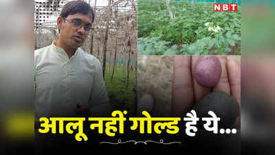 Sagar News: कैंसर के इलाज में कारगर होगा नीलकंठ, एमपी के खेतों में पैदावार और किसान होंगे मालामाल, पढ़ें क्यों है खास