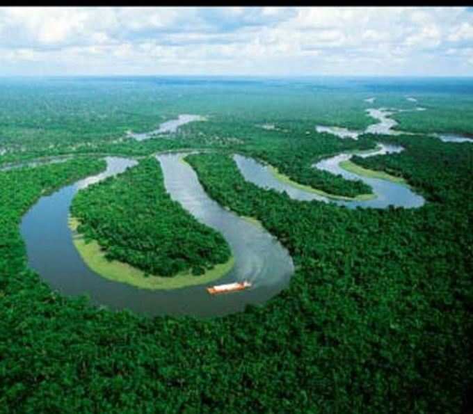अमेजन के जंगल और नदी 
