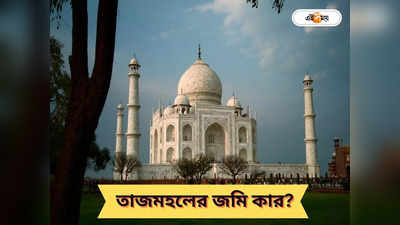 Taj Mahal: দখলদারি না কেনা? তাজমহলের জমির মালিক আসলে কে?