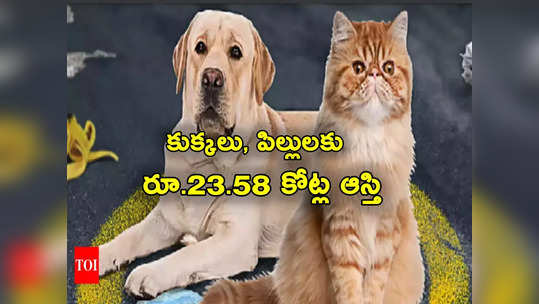 Pets: పిల్లులు, కుక్కల పేరున రూ.23.58 కోట్ల ఆస్తి.. పిల్లలు సరిగా చూసుకోవడం లేదని! 