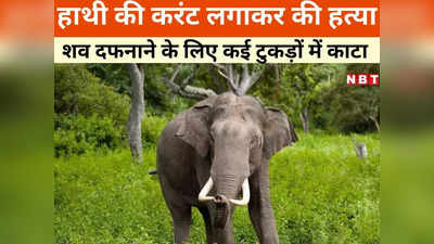 Chhattisgarh News: टुकड़ों में काटकर हाथी को दफनाया, छत्तीसगढ़ के सूरजपुर जिले में सनसनी वारदात