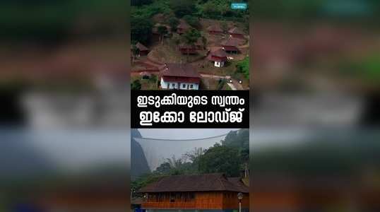wall of love project started in kottayam district