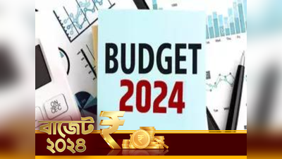 Union Budget 2024: অর্থমন্ত্রী হয়েও ছেঁড়েনি শিকে, সংসদে বাজেট পেশ করতে পারেননি কারা?