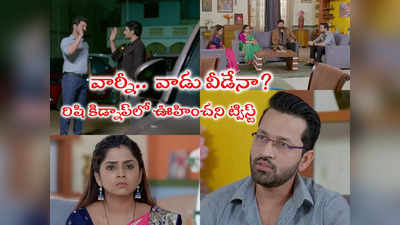 Guppedantha Manasu Serial: రిషిని కిడ్నాప్ చేసిన ఆ కొత్త వ్యక్తి ఇతనేనా? ఇది ఇంటి దొంగపనే