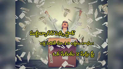 Bonus Share: రూ.2 నుంచి రూ.49కి పెరిగిన స్టాక్.. ఇప్పుడు 1 షేరుకు 2 షేర్లు ఫ్రీ.. రూ.19 లక్షలు లాభం! 