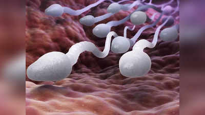 How To Make Sperm Healthy: स्पर्म असरदार रखना है तो ये काम आज से ही बंद कर दीजिए, फिर मत कहना बताया नहीं