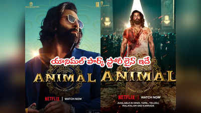 Animal: యానిమల్ పార్క్ రిలీజ్ అయ్యేది అప్పుడే.. ఆ లోపు ప్రభాస్‌తో